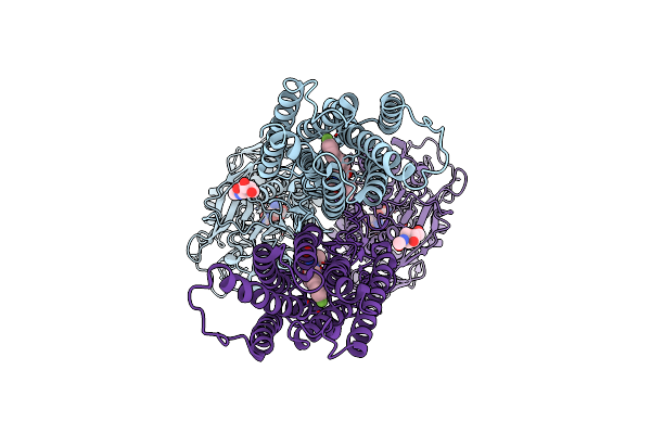 8X0B image