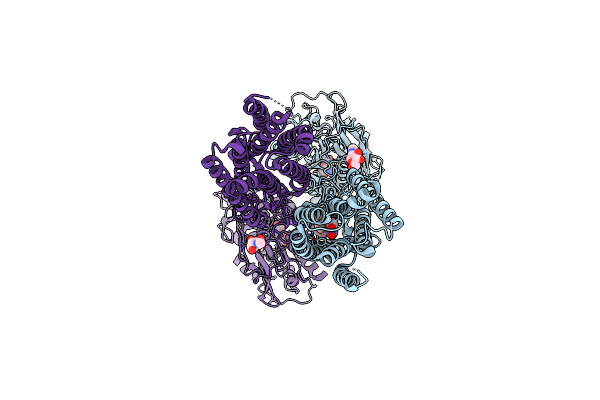 8X0F image