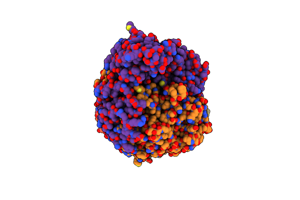 8X0O image