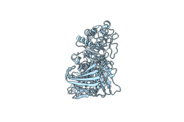 8X1B image