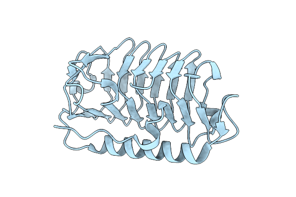 8X1P image