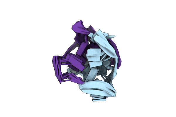 8X1V image