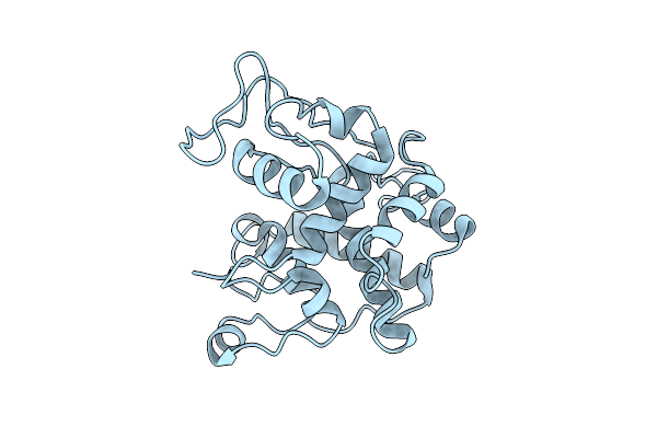 8X2V image