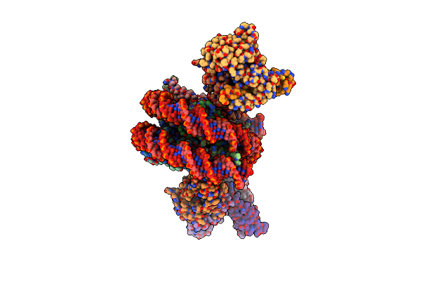 8X30 image
