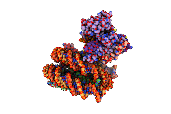 8X31 image
