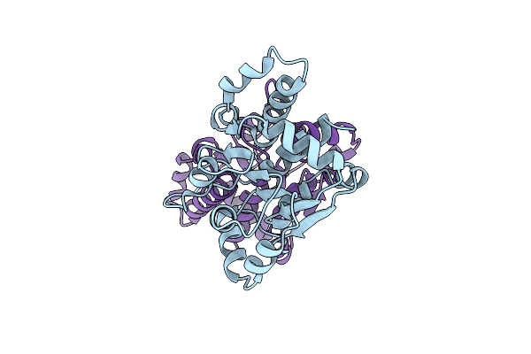 8X33 image