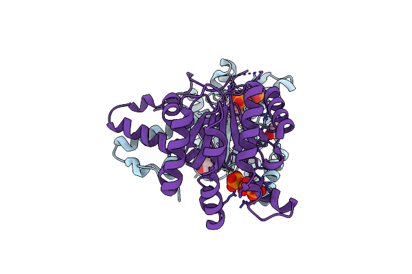 8X35 image