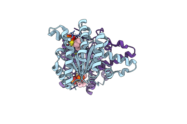 8X36 image