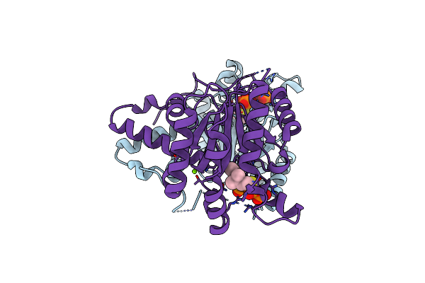 8X37 image
