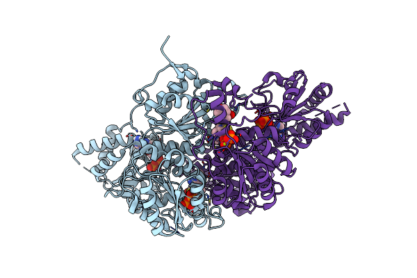 8X3X image