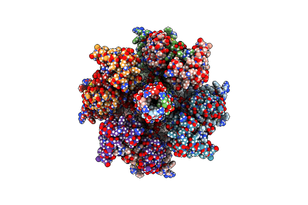 8X43 image