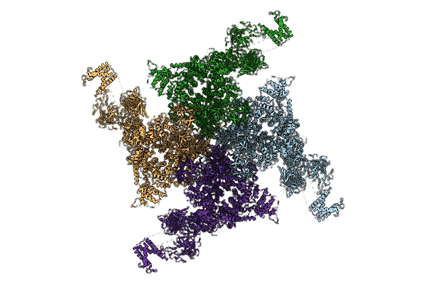 8X48 image