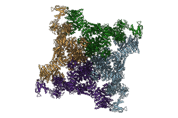 8X4A image