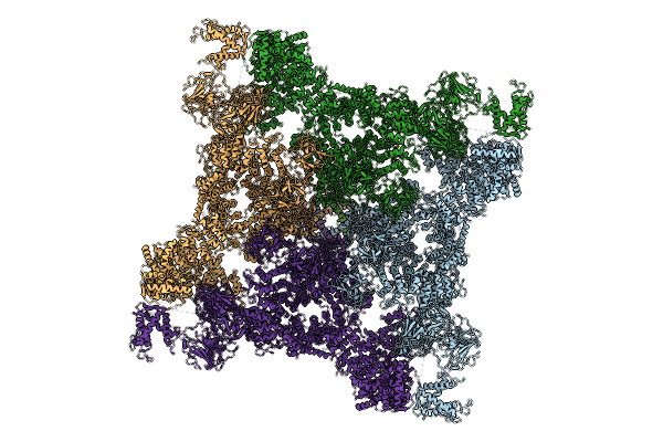 8X4B image