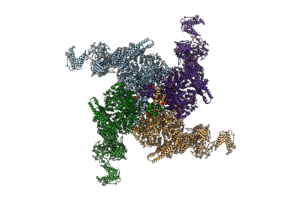 8X4C image