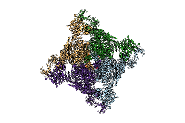 8X4D image