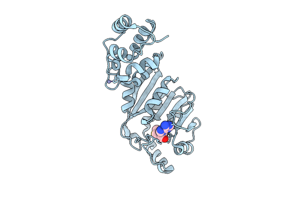 8X4I image