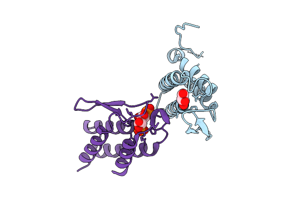 8X4N image