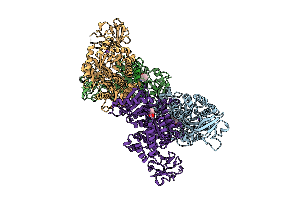 8X4R image