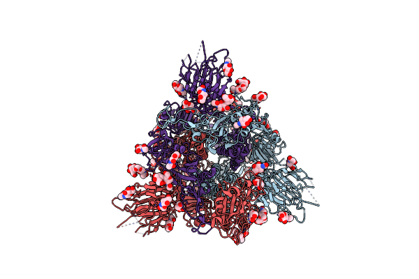 8X50 image