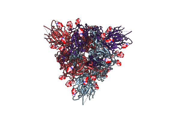 8X55 image