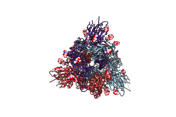8X56 image