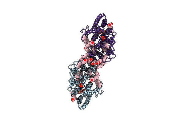8X5B image