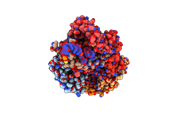 8X5D image