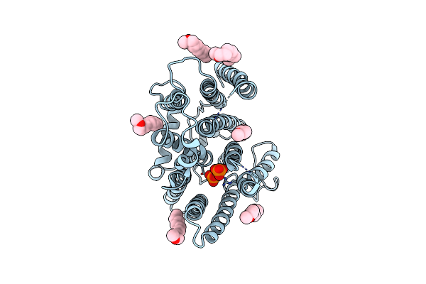 8X5E image
