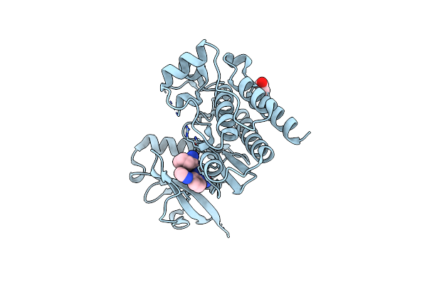 8X5K image