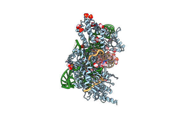 8X5V image