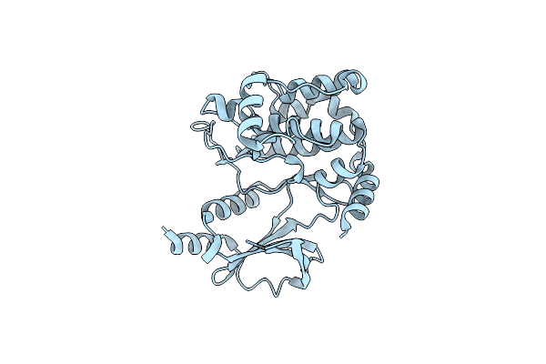 8X5Z image