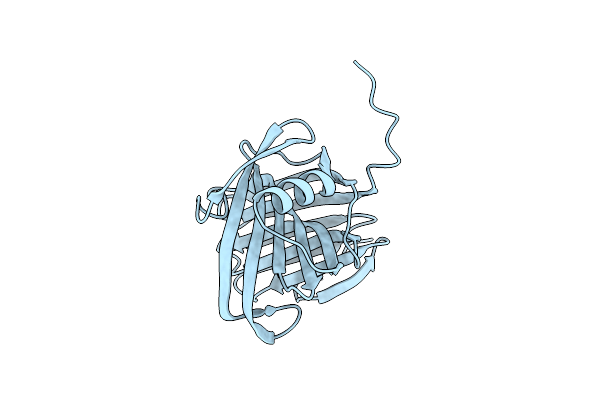 8X65 image