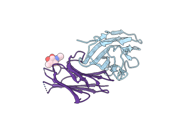 8X6B image