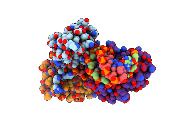 8X6D image