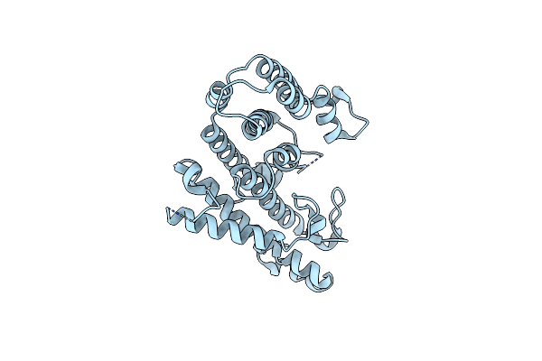 8X6E image