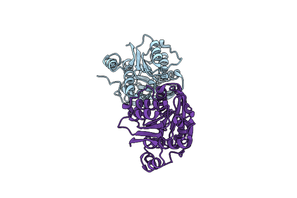 8X6V image