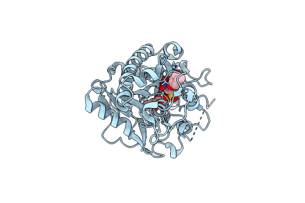 8X74 image