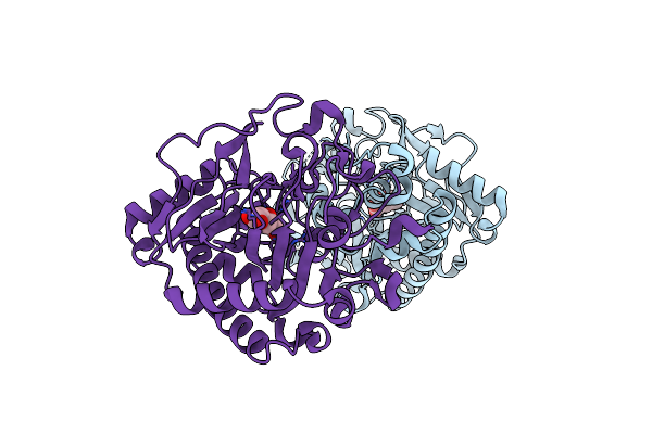 8X7C image