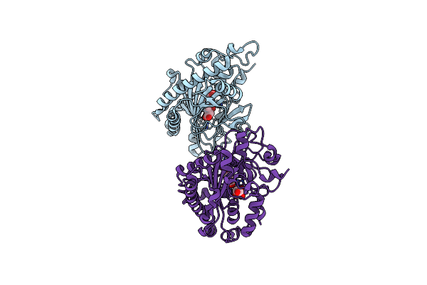 8X7D image