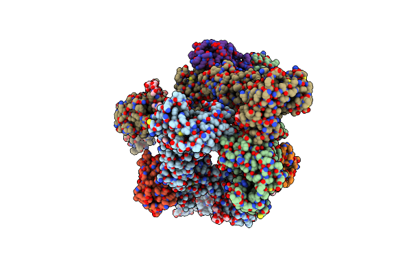8X80 image