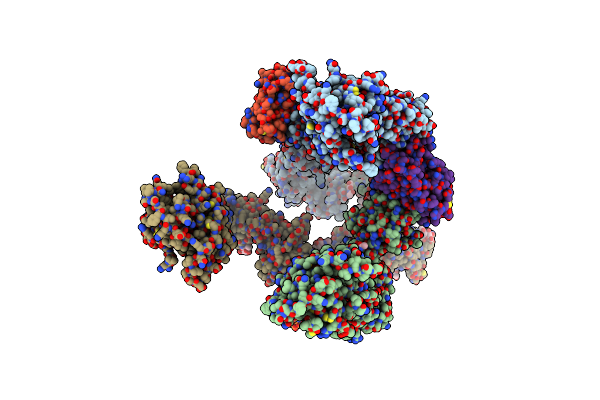 8X81 image
