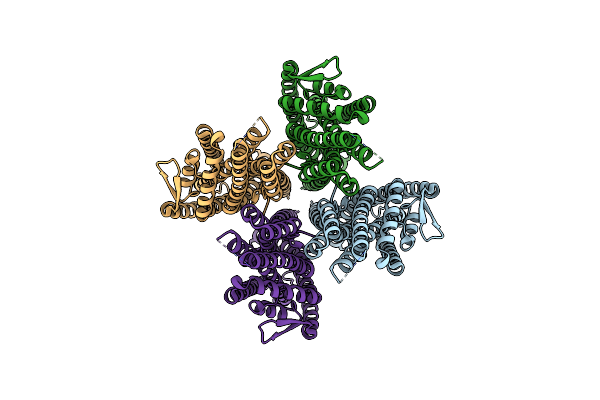 8X82 image