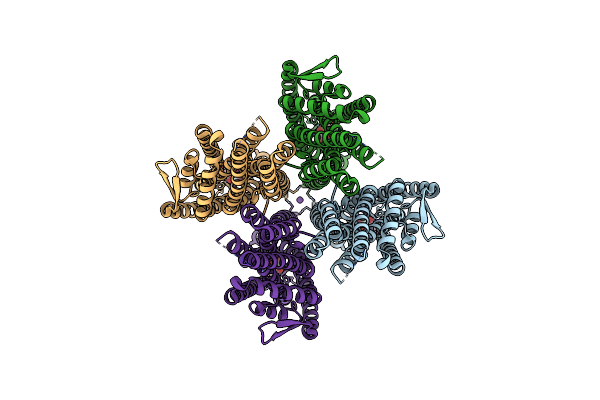 8X83 image