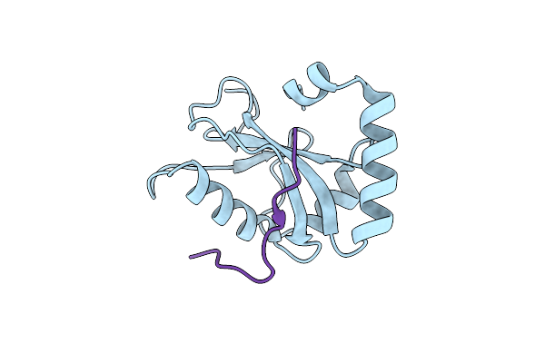 8X8A image