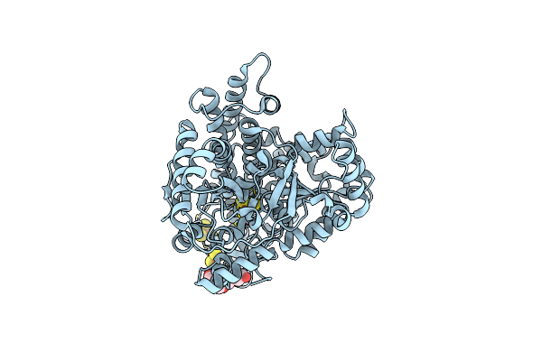 8X9D image