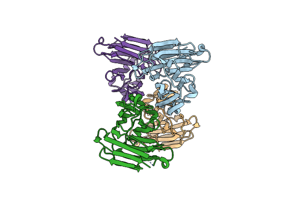 8XAI image