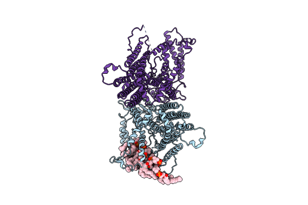 8XAJ image