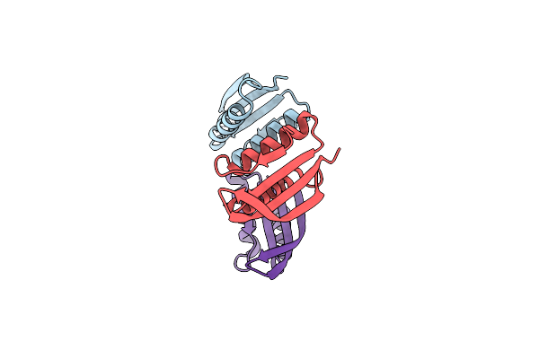 8XAP image