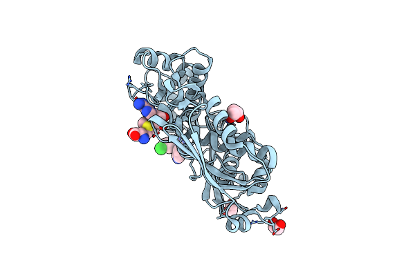 8XAR image